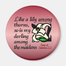 Song of Solomon 2:2 Magnet