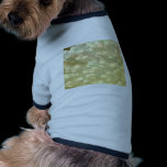SONG out of PAIN - PAIN out of  LOVE pet clothing