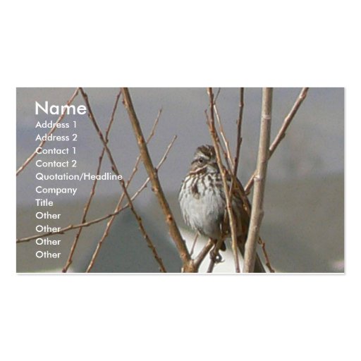 Song Sparrow Business Card
