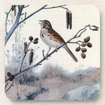 Song Sparrows in the Spring Drink Coasters