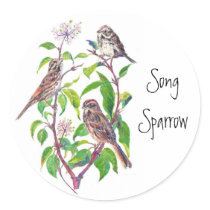 Song Sparrows Round Stickers