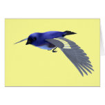 Songbird cards by OneArmedGraphics
