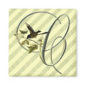 Songbird Initial C magnets
