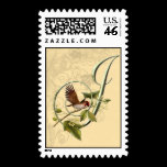 Songbird Initial J