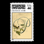Songbird Initial P