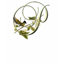 Songbird Initial P t-shirts