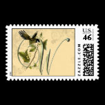 Songbird Initial W