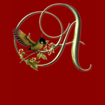 Songbird Initials A t-shirts