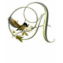 Songbird Initials A t-shirts by initials Songbird Initials A t-shirts