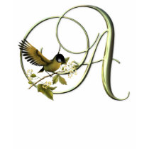 Songbird Initials A t-shirts