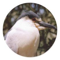 Songbird stickers by quetzal323 Songbird stickers
