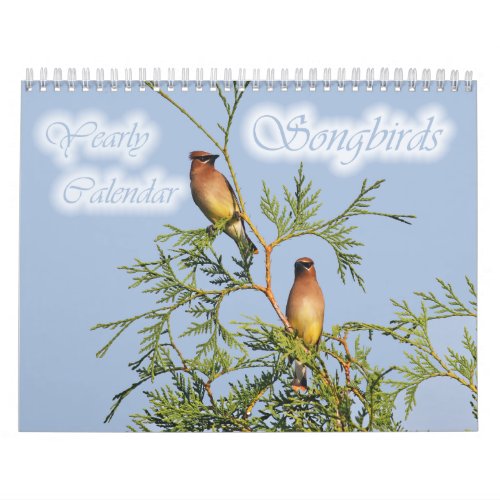 Songbirds Yearly Calendar calendar