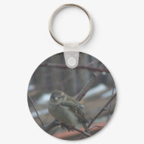 Songsparrow keychains by litehrse Songsparrow keychains