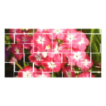 Sonia Gandhi Smile Personalized Photo Card