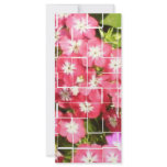 Sonia Gandhi Smile rack cards