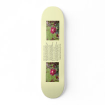 Sonnet # 18 by William Shakespeare Skate Boards