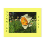 Sonnige Tage - Verschick Sommergruesse Postcards