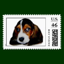 Sonny_1[1] postage