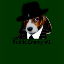 Sonny[1], Public Enemy #1 t-shirts