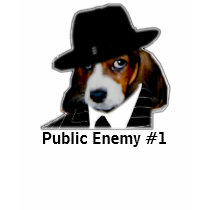 Sonny[1], Public Enemy #1 t-shirts