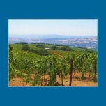 Sonoma postcards
