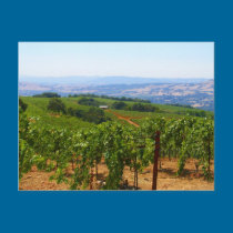 Sonoma postcards