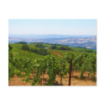 Sonoma Post Card