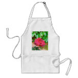 Sonoma Rose Apron