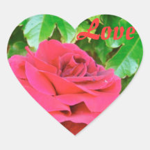 Sonoma Rose "Love! Flowers!" Heart Sticker