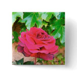 Sonoma Rose Pin