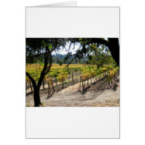 Sonoma Vineyard Cards