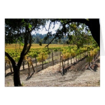 Sonoma Vineyard cards