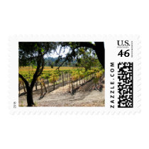 Sonoma Vineyard Postage Stamp