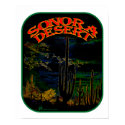 Sonora Desert poster posters