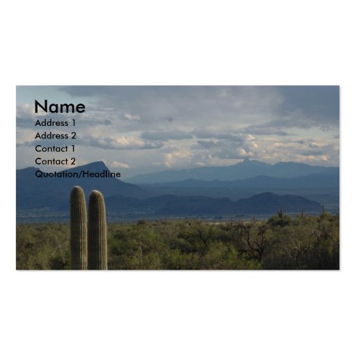 Sonoran Desert Business Cards (front side)