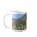 Sonoran Desert in bloom Mugs