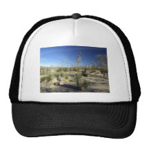 Sonoran Desert scene 01 Trucker Hats