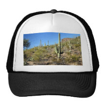 Sonoran Desert scene 03 Mesh Hat
