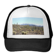 Sonoran Desert scene 04 Hats