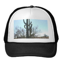 Sonoran Desert scene 05 Hats