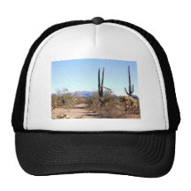 Sonoran Desert Scene 06 Mesh Hat