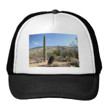 Sonoran Desert scene 08 Hats