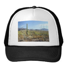 Sonoran Desert scene 09 Hats