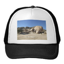 Sonoran Desert scene 10 Hat