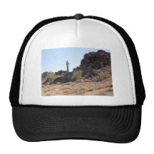 Sonoran Desert scene 11 Mesh Hats