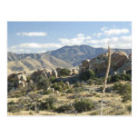 Sonoran Desert scene 12 Post Card