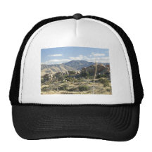 Sonoran Desert scene 12 Trucker Hat