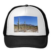 Sonoran Desert Scene 13 Hats