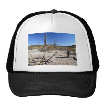 Sonoran Desert Scene 14 Hats