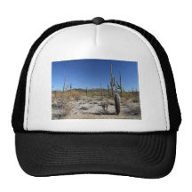 Sonoran Desert Scene 15 Trucker Hat
